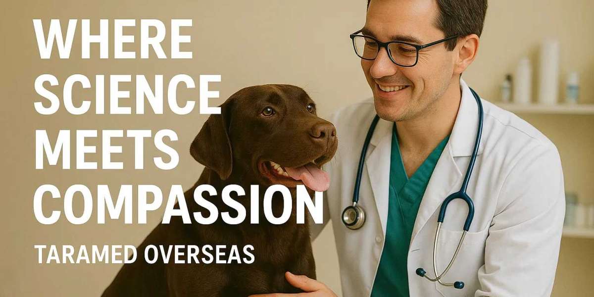 Article Picture
