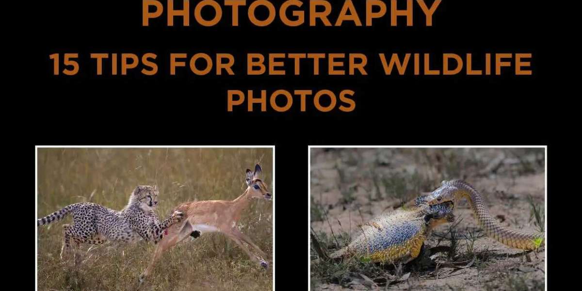 Article Picture