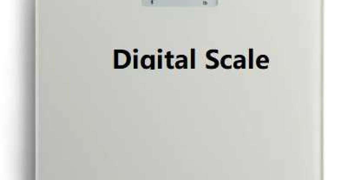 CHINAZHENGYA MECHANICAL HANGING SCALE DIAL SPRING SCALE Logistics
